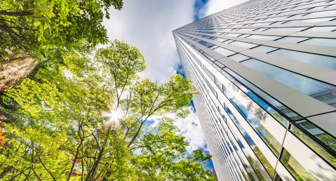 adelphi finance topic skyscraper and tree