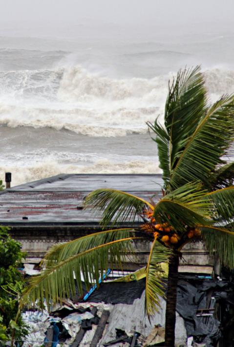 India: Assessing the impact of Cyclone Phailin