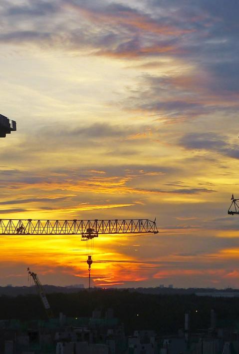 construction cranes in sunset. 