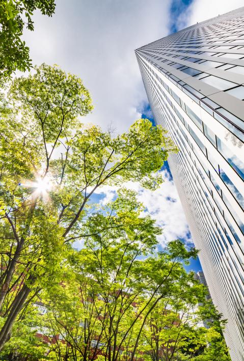 adelphi finance topic skyscraper and tree