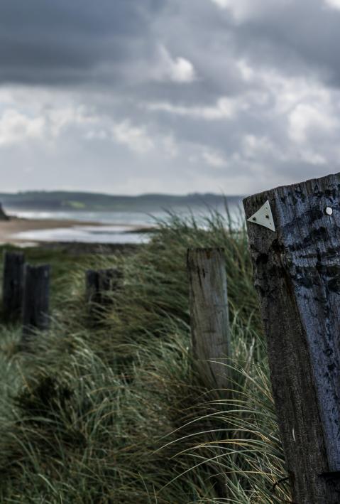 Fence on the beach, dark clouds in the background. 