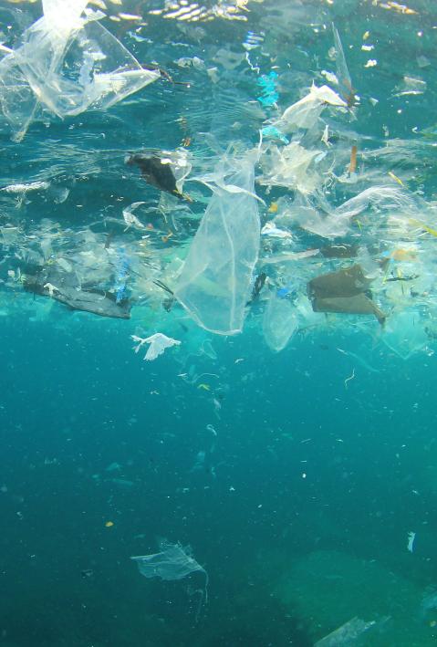 Plastic rubbish pollution in ocean environment