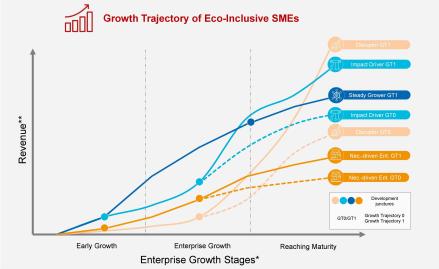 graph showing the growth trajectory of eco-inclusive SMEs. Disruptors and impact drivers have the biggest growth trajectory.