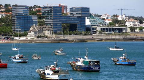 Image illustrating the example municipality of Cascais. 