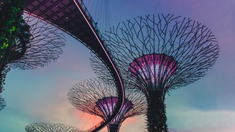 Gardens by the Bay in Singapore with a close-up of the innovative tree structure