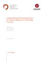 Understanding and Increasing Finance for Climate Adaptation in Developing Countries - CPI adelphi