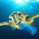 Plastic pollution problem - Sea Turtle eating plastic bag polluting ocean
